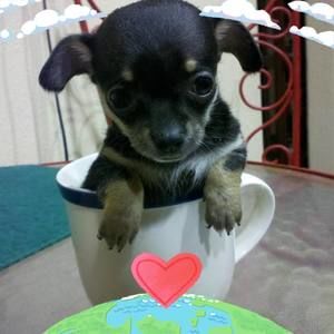 Meet your Posher, Marla